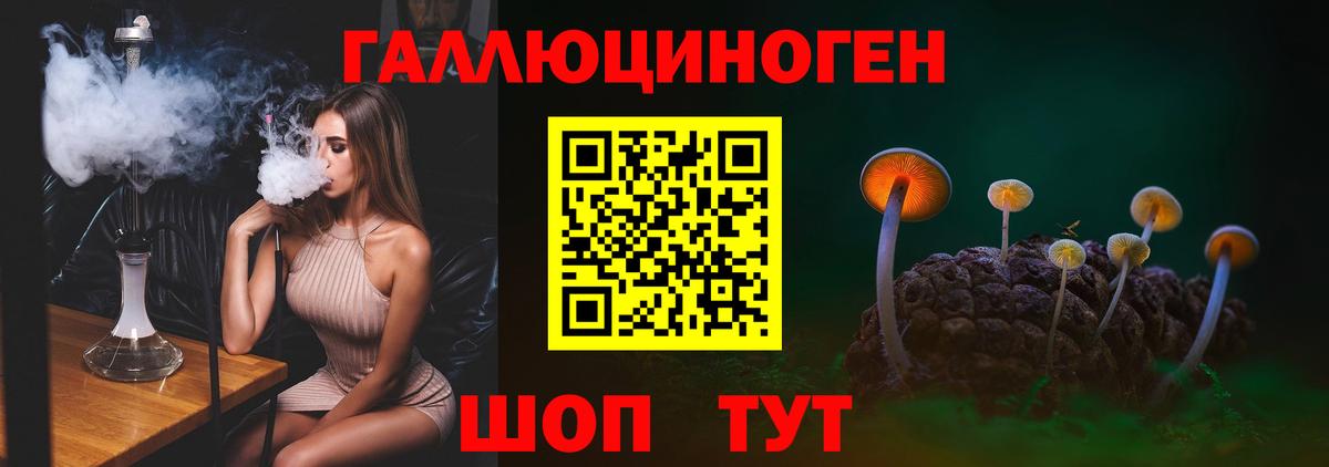 Галлюциногенные грибы Psilocybine cubensis Краснознаменск